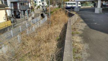 堺市にて防草シート工事🌿